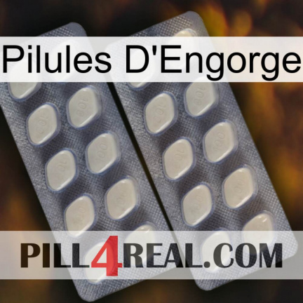 Engorge Pills 07